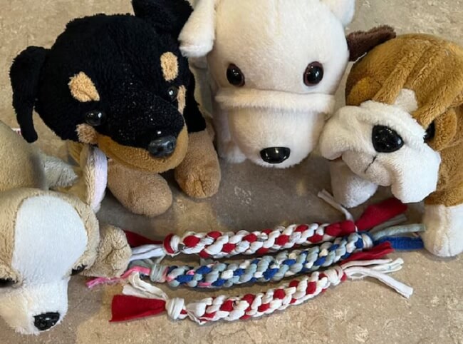 diy dog toys from household items