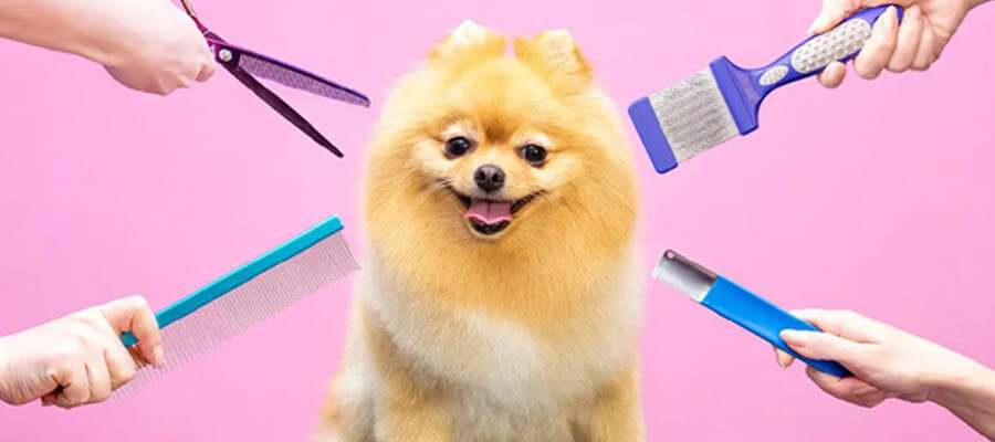 The Top Dog Grooming Products You Need for Your Pet